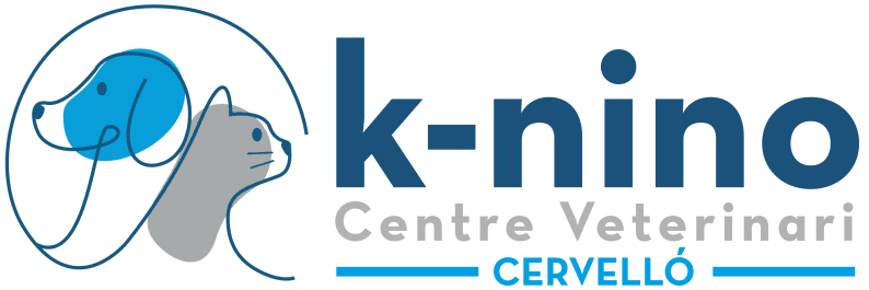 K-nino Cervelló