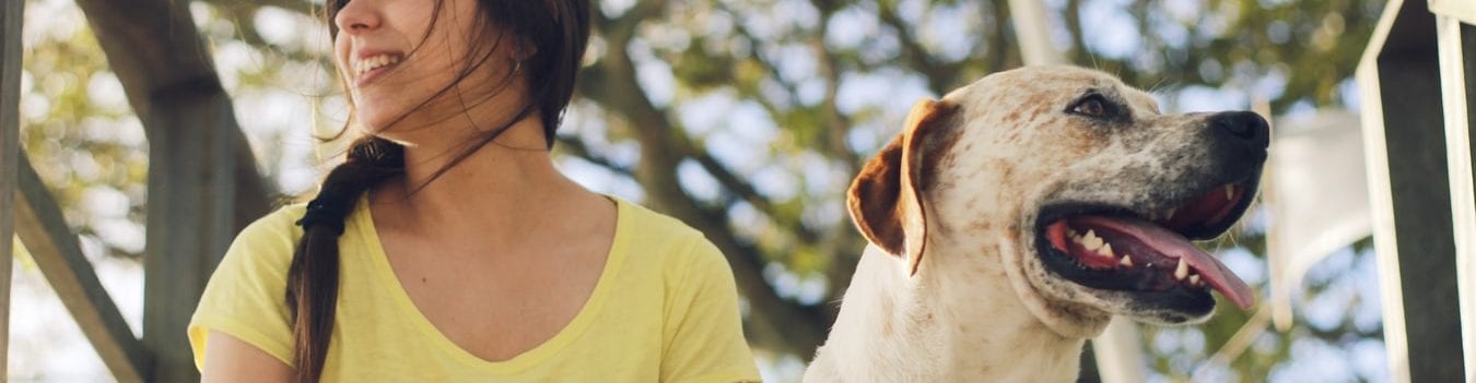 tos-perreras-verano-blog