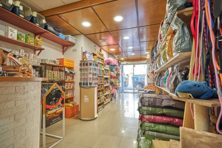 knino-veterinari-cervello3
