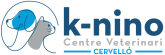 KNINO-LOGO-COLOR