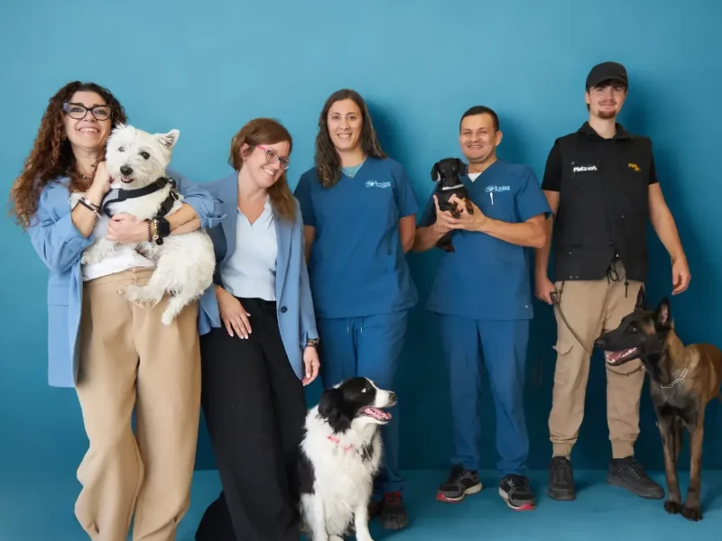 equipo-knino-veterinario-cervello