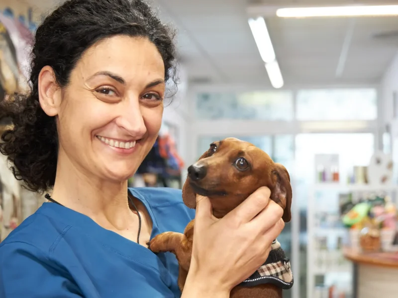 knino-veterinari-cervello-equip-mascota4