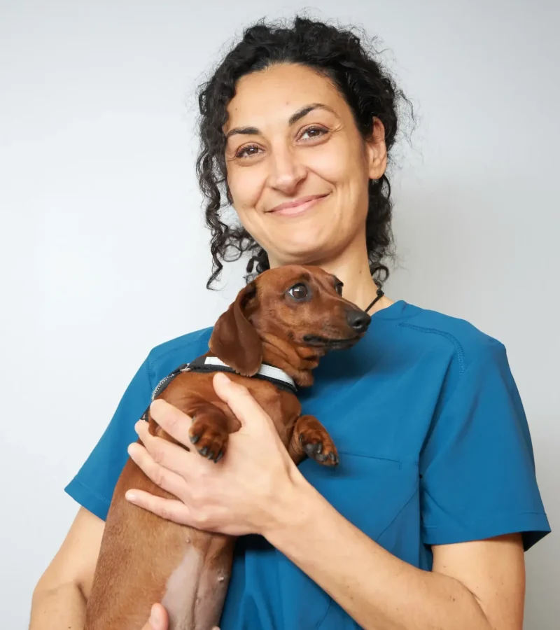 knino-veterinario-cervello-silvia-veterinaria knino-veterinario-cervello-silvia-veterinaria