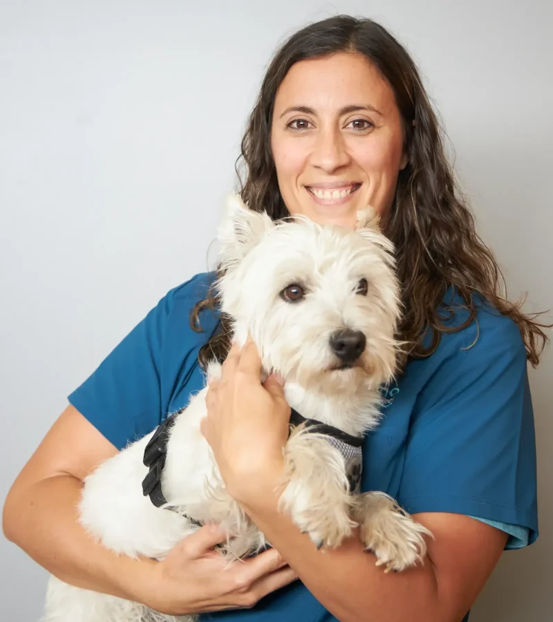 lucia-knino-veterinario-cervello